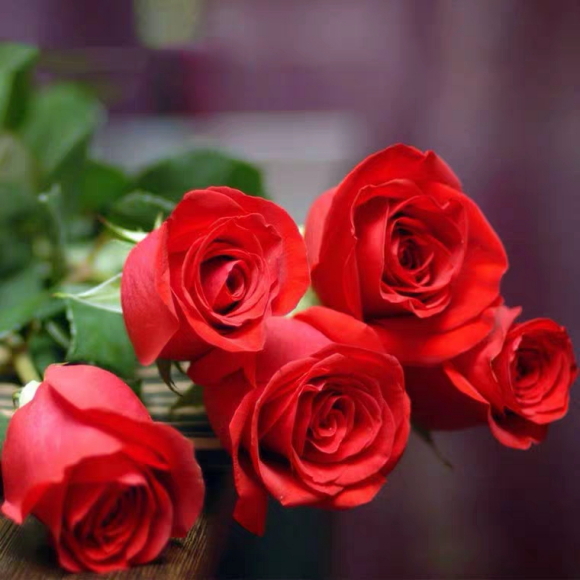 婚礼上常用的6种鲜花,寓意美好,浪漫又温馨!