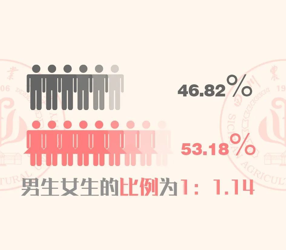 2020年西南医科大学共录取1032名研究生,其中 男女比例为1:1.