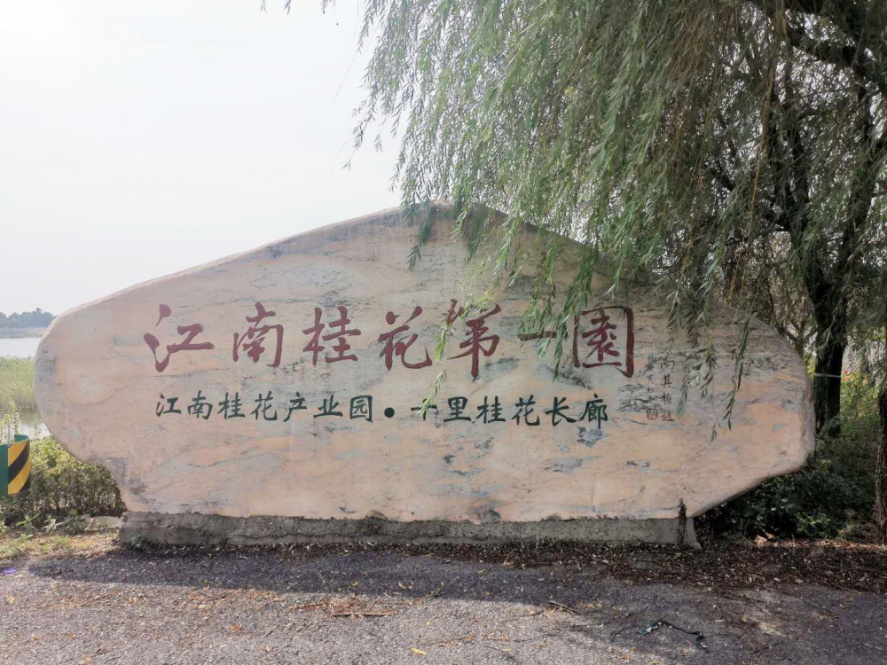 江苏溧阳上兴镇:护得青山好,财源滚滚来