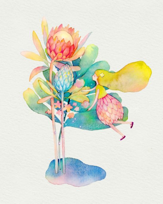清新唯美的水彩花卉插画,非常治愈