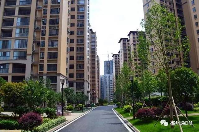 郴州3月最新房价出炉!你家房子现在值多少钱?