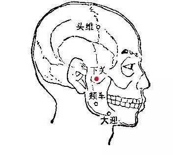 玉枕的准确位置图 腾讯网