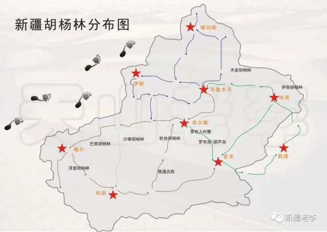 轮台胡杨林公园,尉犁罗布人村寨,沙雅胡杨,巴楚金色胡杨岛,泽普金胡杨