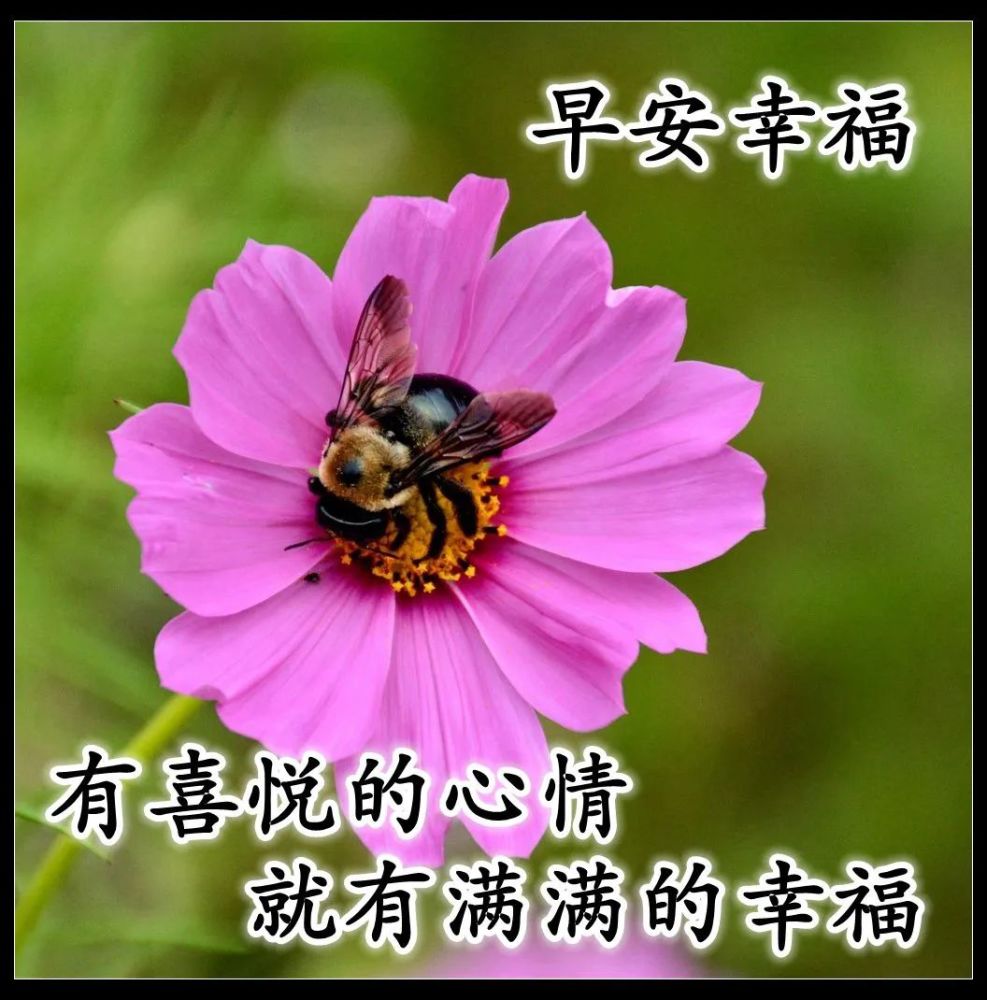 深秋微信早上好问候语图片大全 早上好祝福表情包 早上问候语及关心话