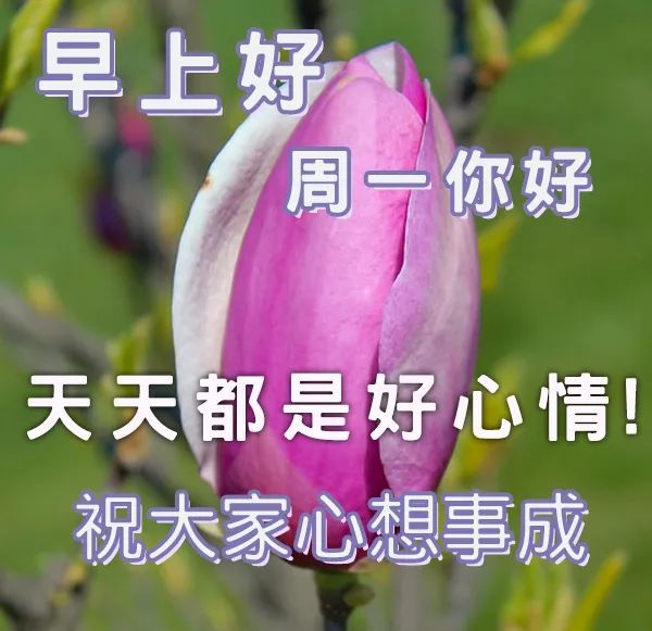 最新早上好祝福图片 早安图片带字大全