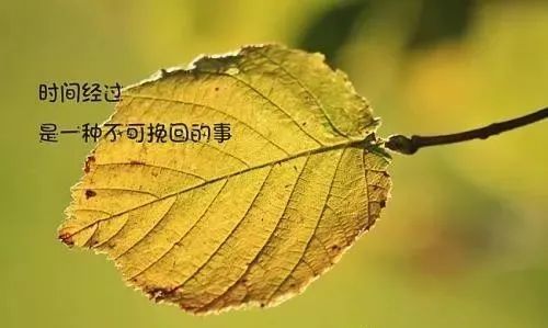 写进心窝里的心情感悟发朋友圈很现实的人生哲理说说