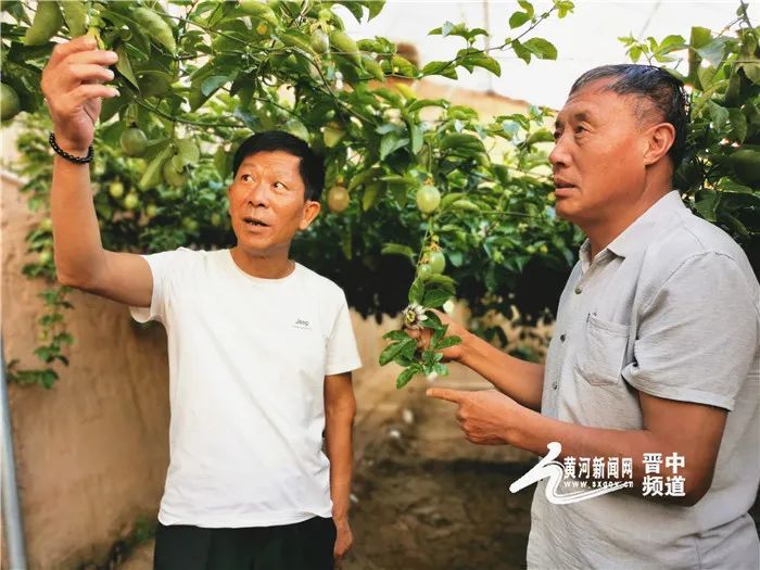 山西美丽乡村颜值代表晋中市乌金山镇后沟村