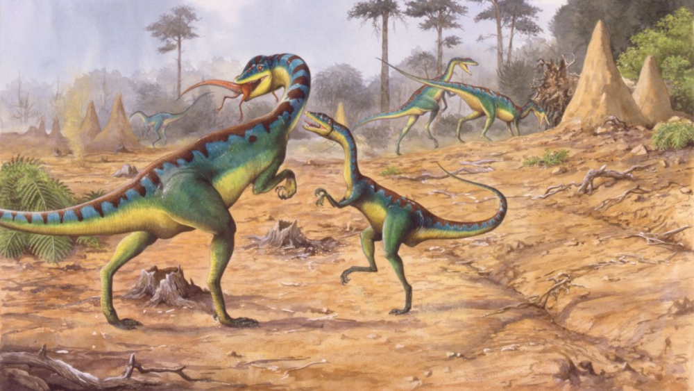 恐龙的崛起源于233亿年前的一次生物大灭绝事件