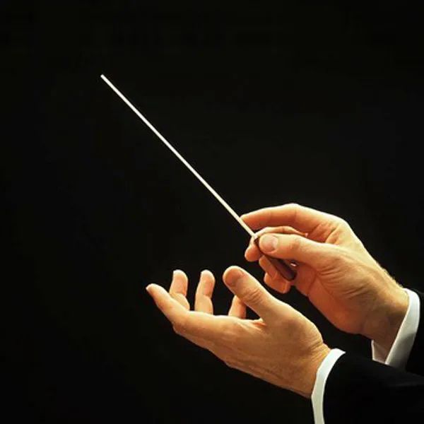 【绘画参考】一组音乐会指挥家的手部姿势参考