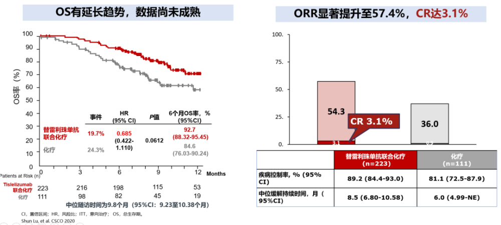 李醒亚教授替雷利珠单抗rationale304研究解读及体会