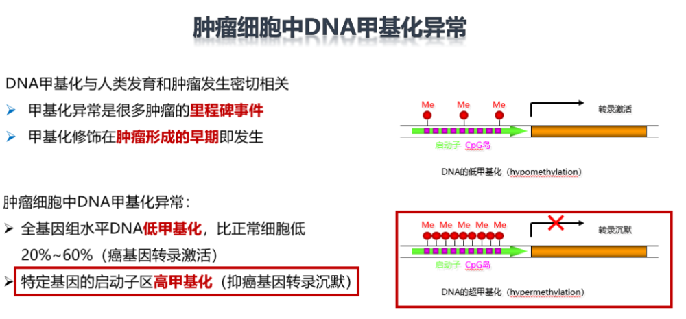 走在临床应用最前沿的是肺癌甲基化检测.