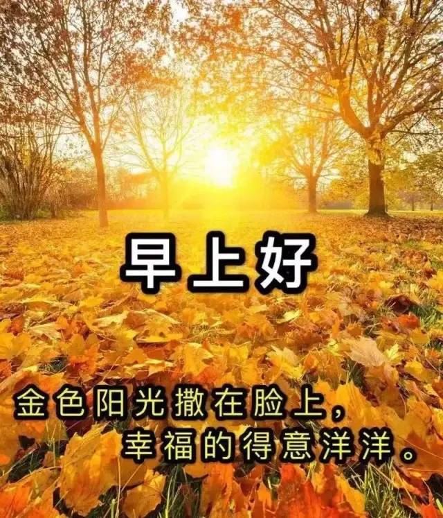 9月29日 最漂亮的早上好祝福语图片温馨 清晨群发短语