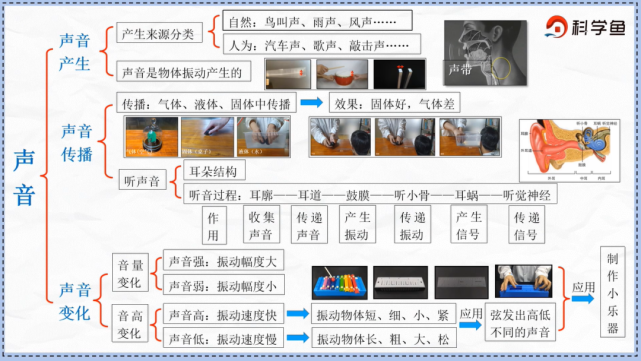 教科版四年级科学上册思维导图合辑