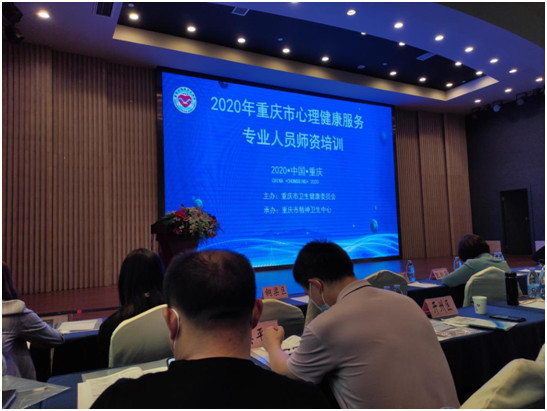 武隆区2020年gdp_武隆区凤来新城规划图(3)