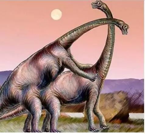 巨型恐龙到底有多大地震龙比蓝鲸还要长