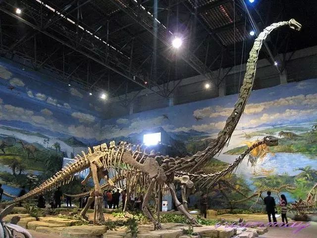 至今为止,已发现的最大最完整的恐龙化石是腕龙化石,它高达13米.