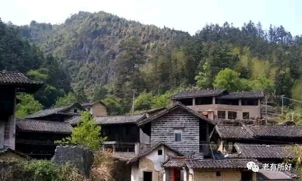 陈忠厚:从土楼书记到福建第一贪的蜕变
