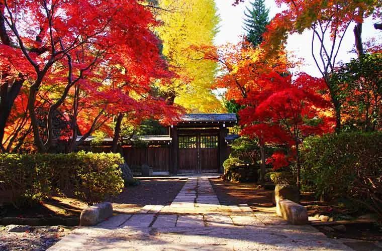 秋季有很多景点,例如被指定为国家风景名胜区和自然纪念馆的岩石群的