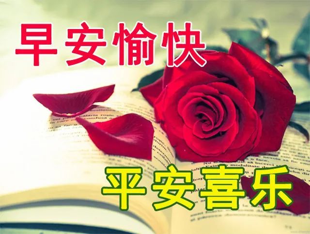 10月31日 周末最新早上好问候祝福动态表情图片 最新