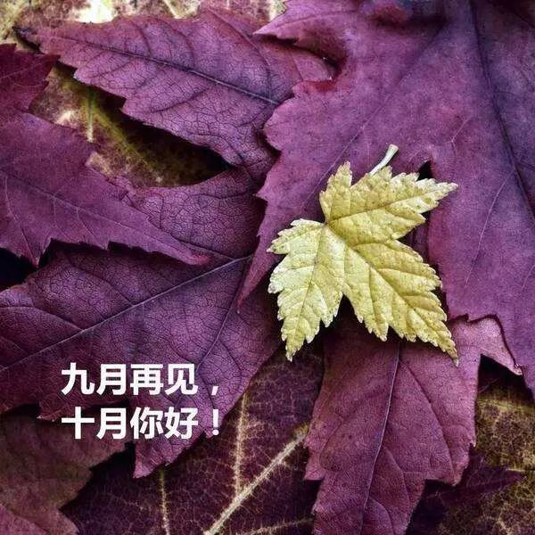 10月你好说说带唯美图片9月再见10月你好说说