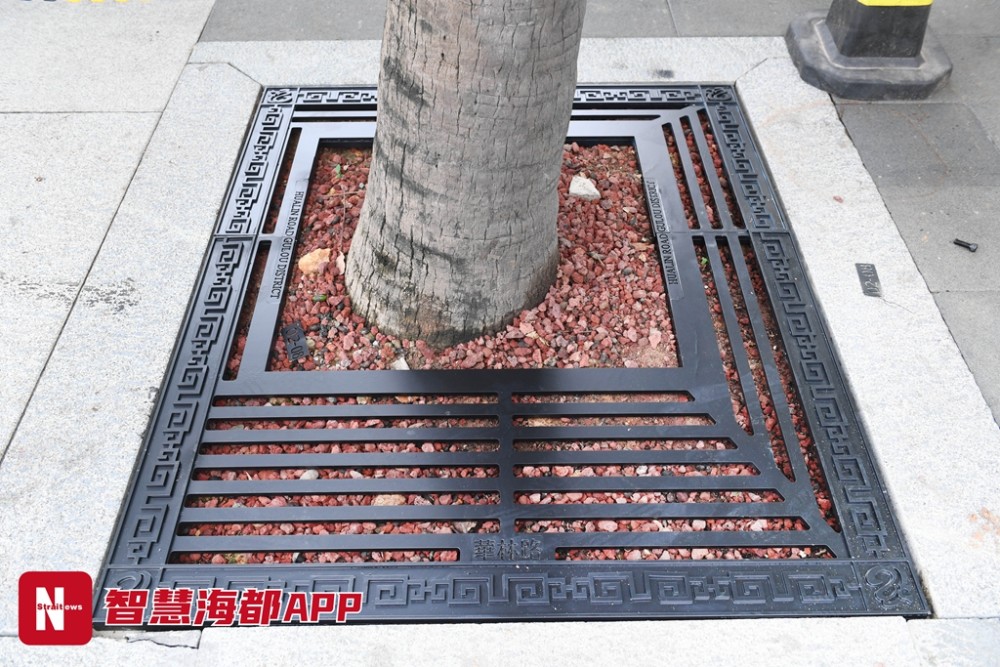 逐个测量定制,造型古色古香!高颜值树池在华林路上线