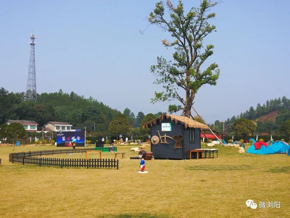 官渡·田螺小镇 浏阳田螺小镇有悬在空中的田螺森林城堡,田螺大草原