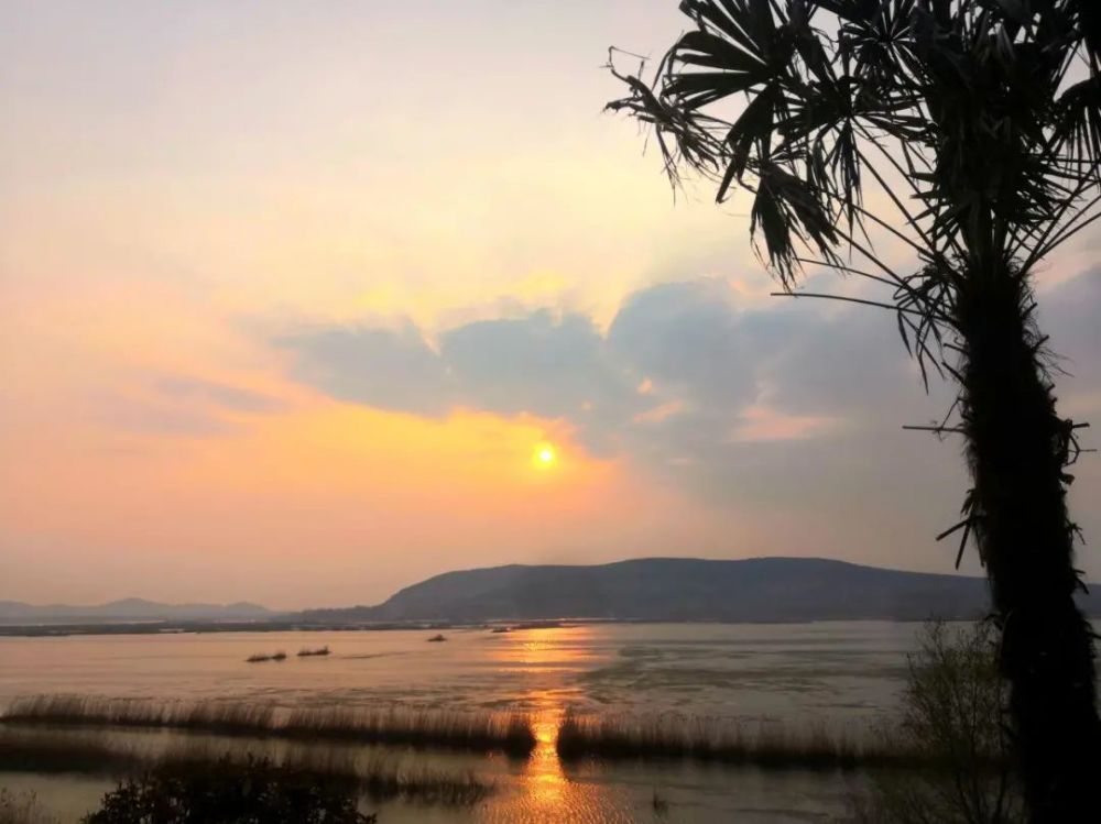 东平湖天水一色