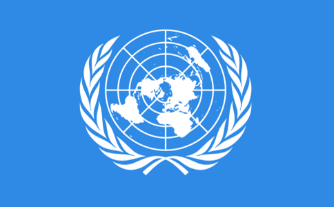 联合国旗帜的底色为浅蓝色,正中的图案是一个白色的联合国徽章.