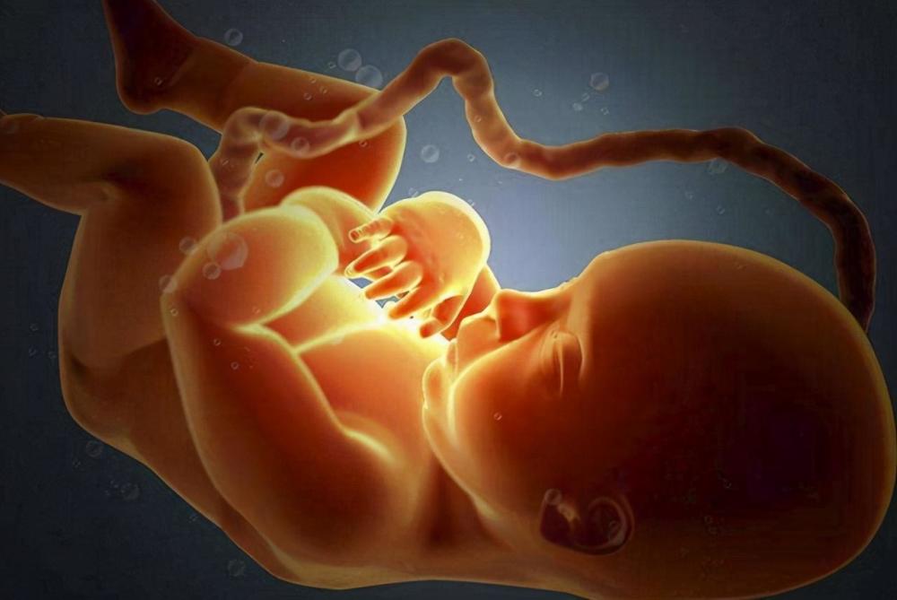2)胎儿在玩弄脐带