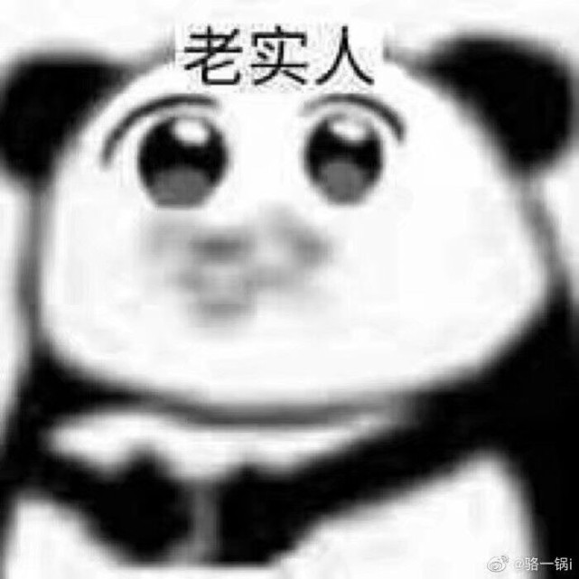 沙雕表情包 第一百七十六期