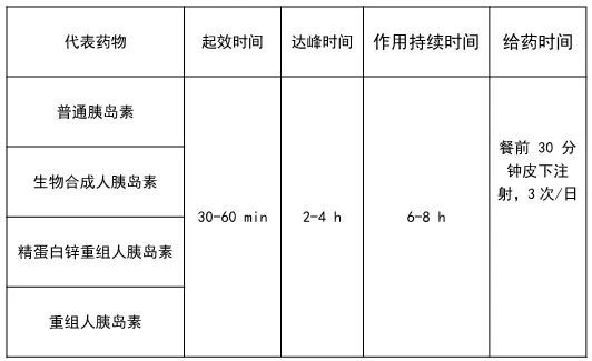 胰岛素的分类 根据作用时间不同可胰岛素可分为超短效胰岛素,短效