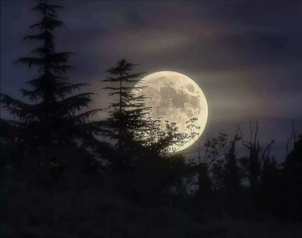 月亮 中秋和喜欢的人一起赏月