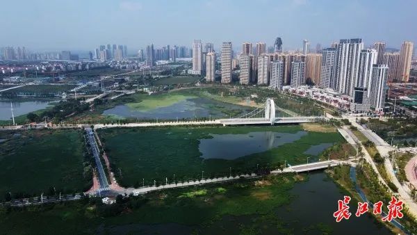 汉阳四新凤凰湖湿地公园景色怡人.记者李子云 摄