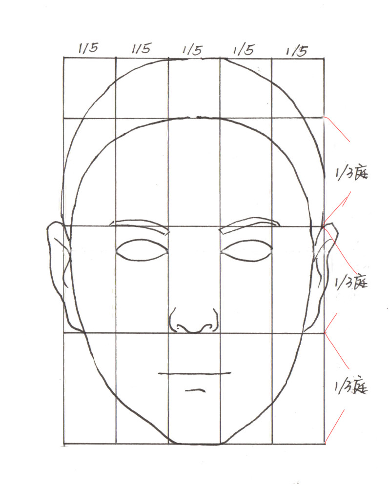 标准脸可以用三庭五眼来概括