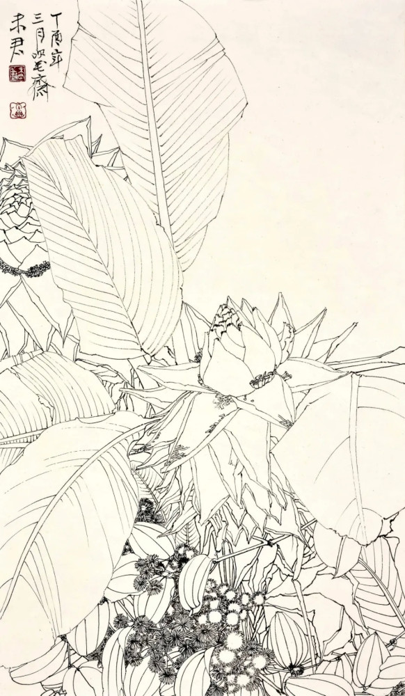 未君 地涌金莲写意小品 69cm×46cm 2020年