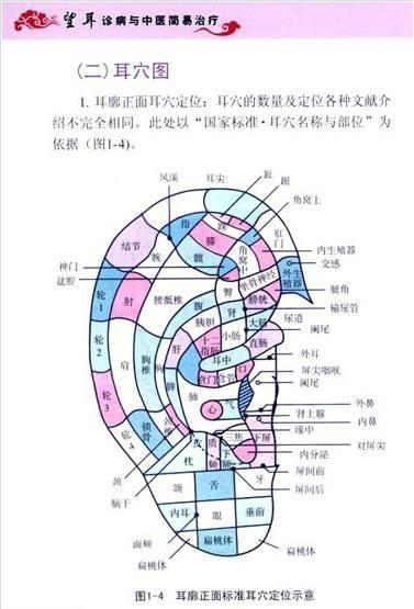 说说中医耳诊那些事!