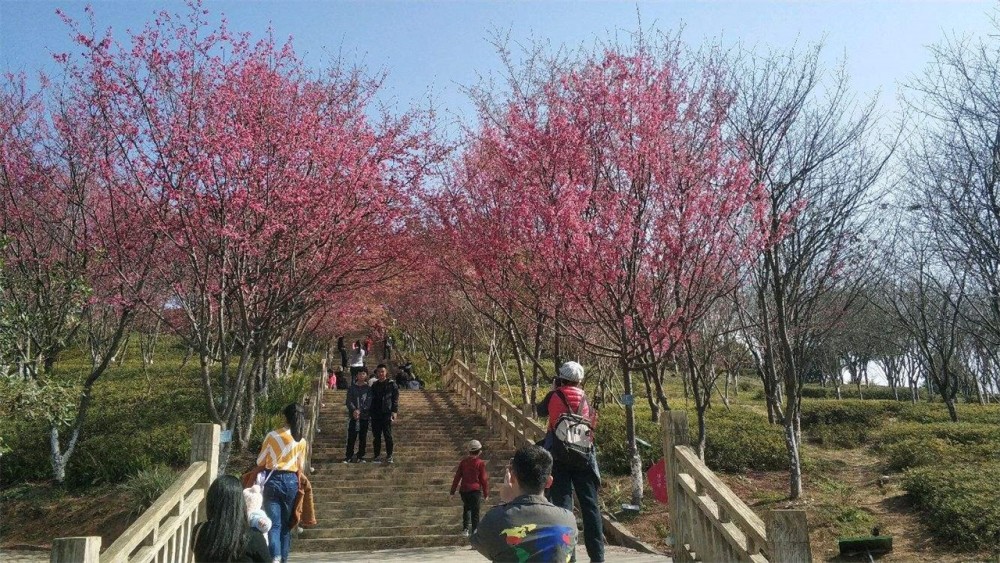2020年漳平市gdp_漳平市到2020年规划图