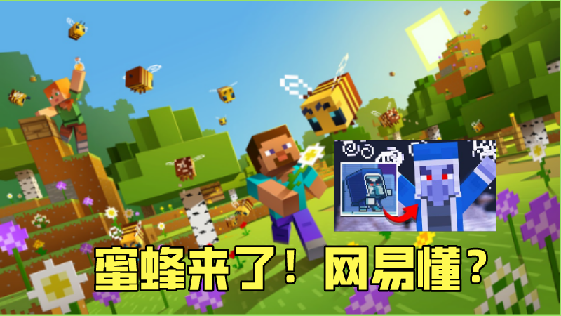 我的世界:冰术师投票有多欢,村庄突袭被虐有多惨!新生物投票