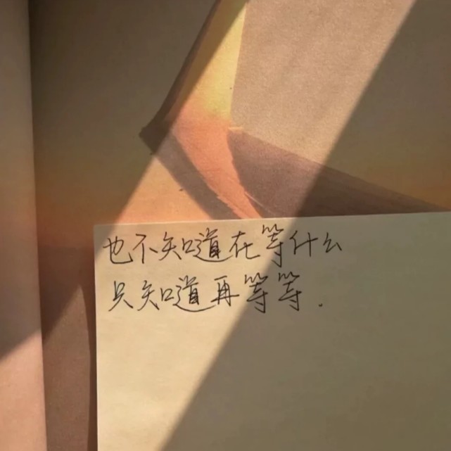 关于友谊的句子:不是在最好的时光遇见了你们,而是有你们在,我才有了