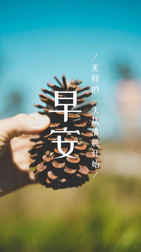 励志人生感悟图片带字:愿苦难过后,人间皆安