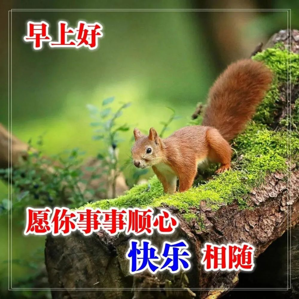 8张最美秋天风景问候大家早上好图片带字带祝福语漂亮秋日天冷了关心