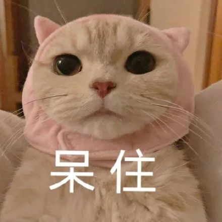 猫咪表情包:晚安!玛卡巴卡