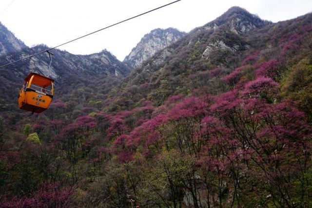 春天西安周边自驾游攻略,5个西安出发自驾游赏花踏青好去处
