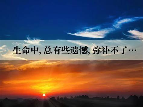 万般皆是命,半点不由人!