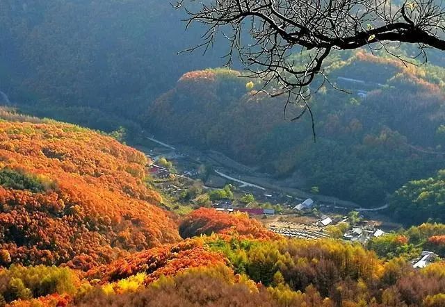 东北这16个地方,浓缩了北国秋天最美的景色,正适合