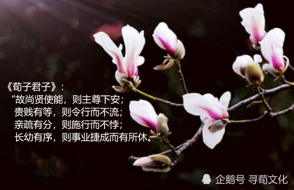 四字成语什么世什么什么_世字书法(3)