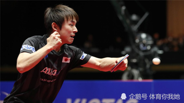 日乒丹羽孝希完成终身大事!结束五年恋爱长跑,球迷送祝福
