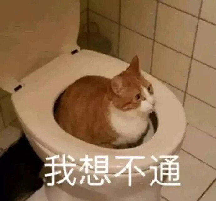 今日表情包:如何让男孩子百依百顺