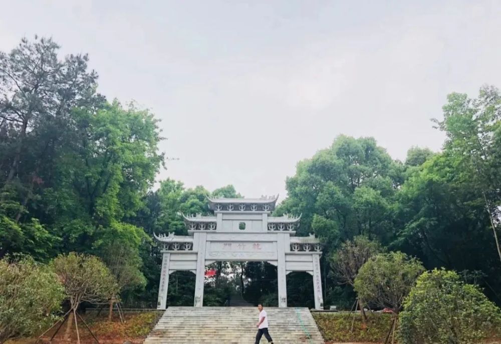 千年艾艾灸馆(漕河文化广场濒湖公园内) 总面积约为3200亩的独山森林