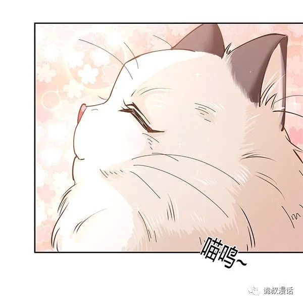 人性诡异漫画《绿茶猫》,如果不爱,请别伤害!